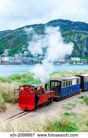 steam train, Fairbourne narrow gauge railway, Barmouth, Wales. View Large Photo Image Stock Photo - steam train, Fairbourne narrow gauge railway, Barmouth, Wales.. Fotosearch