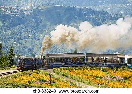 Stock Image - Steam train known as the? Toy Train? of the Darjeeling Himalayan Railway listed as a World Heritage Site, Batasia Loop, Darjeeling, West Bengal, India. Fotosearch