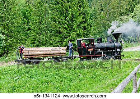 steam train, Museum of Kysuce village, Vychylovka, Slovakia View Large Photo Image Picture - steam train, Museum of Kysuce village, Vychylovka, Slovakia. Fotosearch
