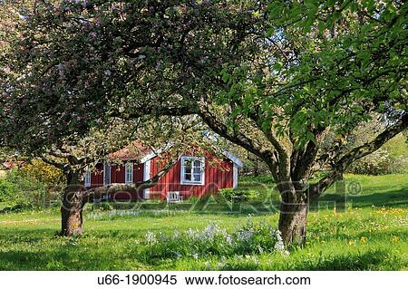 Sten? sa,? land, Sweden. View Large Photo Image Stock Photography - Sten? sa,? land, Sweden.. Fotosearch