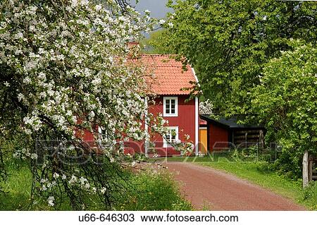 Stensjo by Sm? land Sweden View Large Photo Image Stock Image - Stensjo by Sm? land Sweden. Fotosearch