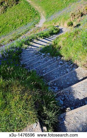 Steps on the South West Coast Path at Bull Point near Mortehoe, Devon, England, United Kingdom View Large Photo Image Stock Photograph - Steps on the South West Coast Path at Bull Point near Mortehoe, Devon, England, United Kingdom. Fotosearch