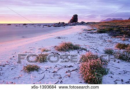 Stettstranda, Vuroy, Lofoten Islands, Norway View Large Photo Image Picture - Stettstranda, Vuroy, Lofoten Islands, Norway. Fotosearch