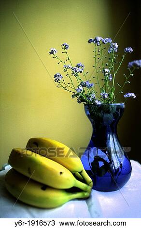 Still life - bananas, forget-me-nots and blue vase - by a window in London, England View Large Photo Image Stock Image - Still life - bananas, forget-me-nots and blue vase - by a window in London, England. Fotosearch