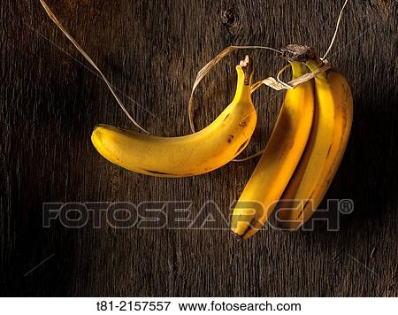 Still life of bananas and old wood View Large Photo Image Stock Photo - Still life of bananas and old wood. Fotosearch