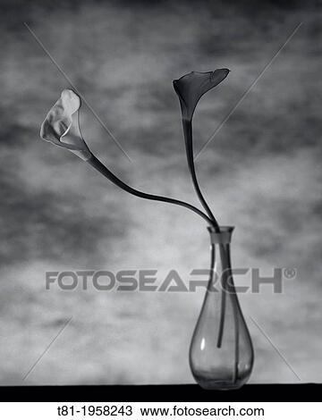 Still life of flowers, ikebana View Large Photo Image Stock Image - Still life of flowers, ikebana. Fotosearch