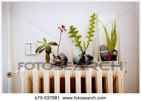 Still life View Large Photo Image Stock Image - Still life. Fotosearch