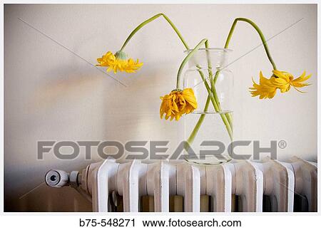 Still life View Large Photo Image Stock Image - Still life. Fotosearch