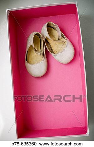 Still life View Large Photo Image Stock Image - Still life. Fotosearch