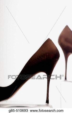 Still life View Large Photo Image Stock Image - Still life. Fotosearch