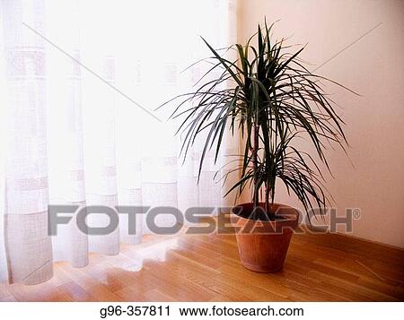 Still life View Large Photo Image Stock Image - Still life. Fotosearch