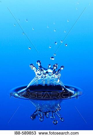 Stock Image - Still life. Fotosearch
