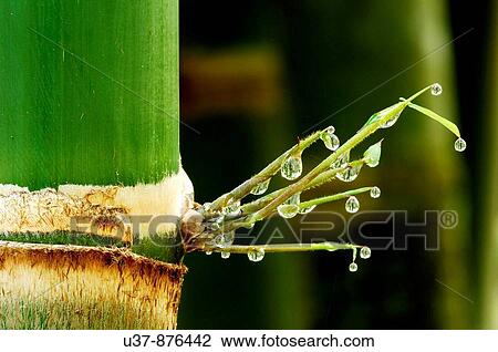 Still life View Large Photo Image Stock Image - Still life. Fotosearch