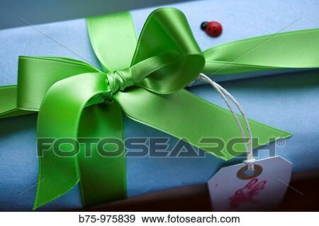 Still life View Large Photo Image Stock Photo - Still life. Fotosearch