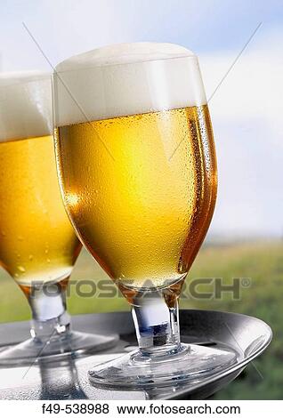 Stock Photo - Still life. Fotosearch