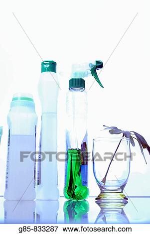 Stock Photo - Still life. Fotosearch
