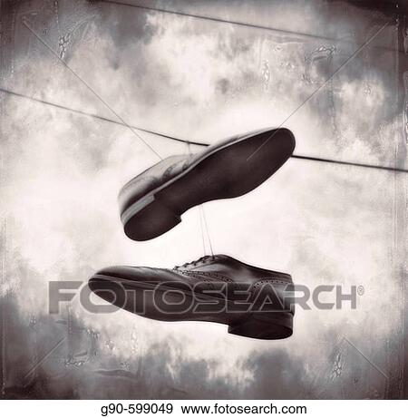Stock Photo - Still life. Fotosearch