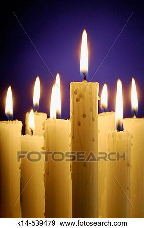 Stock Photo - Still life. Fotosearch