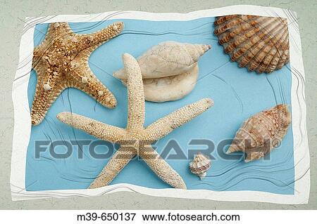 Still life View Large Photo Image Stock Photo - Still life. Fotosearch