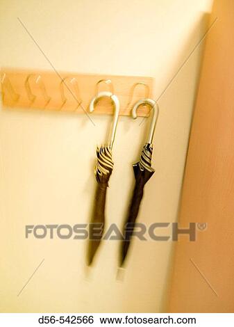 Stock Photograph - Still life. Fotosearch