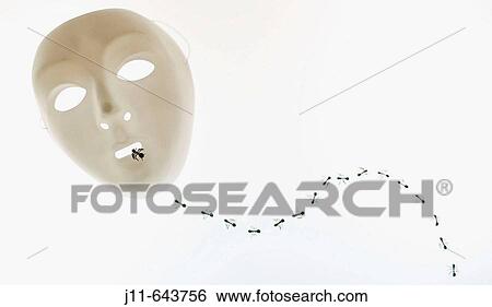 Still life View Large Photo Image Stock Photograph - Still life. Fotosearch