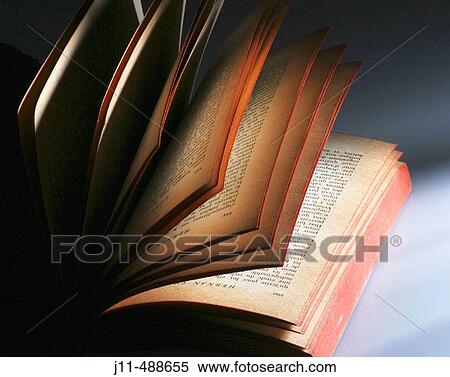Still life View Large Photo Image Stock Photography - Still life. Fotosearch