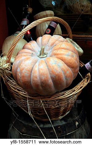Still life with pumpkin Siena Italy View Large Photo Image Stock Image - Still life with pumpkin Siena Italy. Fotosearch