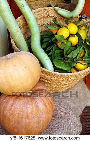 Still life with pumpkins Sardegna Italy View Large Photo Image Stock Photo - Still life with pumpkins Sardegna Italy. Fotosearch