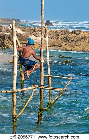 Stilt fisherman, Koggala, Sri Lanka, Indian Ocean, Asia. View Large Photo Image Stock Image - Stilt fisherman, Koggala, Sri Lanka, Indian Ocean, Asia.. Fotosearch