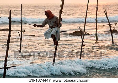 stilt fisherman perched on his pole at sunset, Midigama, Sri Lanka View Large Photo Image Stock Photo - stilt fisherman perched on his pole at sunset, Midigama, Sri Lanka. Fotosearch