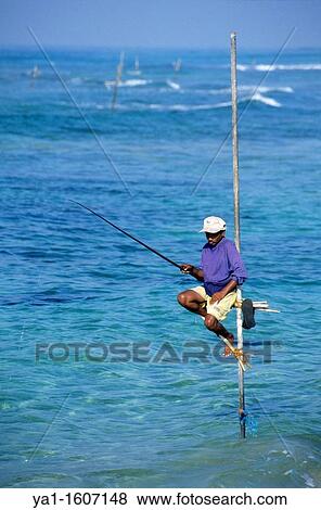 Stilt fisherman, Weligama, Sri Lanka View Large Photo Image Stock Photo - Stilt fisherman, Weligama, Sri Lanka. Fotosearch