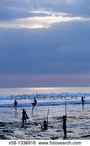 Stilt fishermen at dusk, Weligama region, Sri Lanka. View Large Photo Image Stock Photo - Stilt fishermen at dusk, Weligama region, Sri Lanka.. Fotosearch