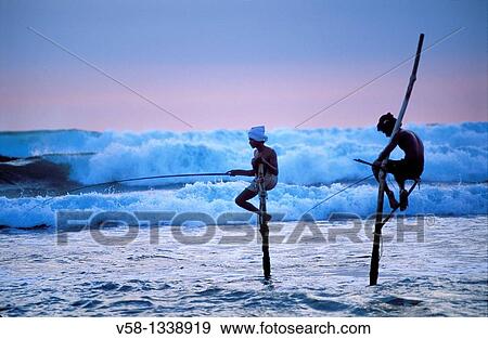 Stilt fishermen at dusk, Weligama region, Sri Lanka. View Large Photo Image Stock Photo - Stilt fishermen at dusk, Weligama region, Sri Lanka.. Fotosearch