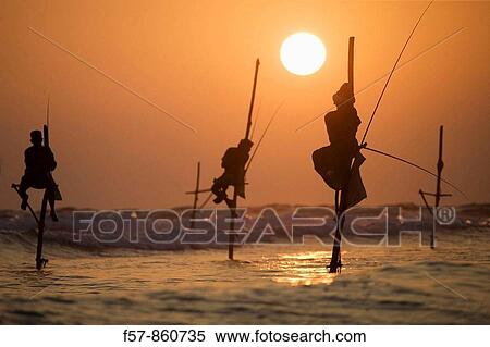 Stilt fishermen in Kogalla, Sri Lanka View Large Photo Image Stock Photography - Stilt fishermen in Kogalla, Sri Lanka. Fotosearch