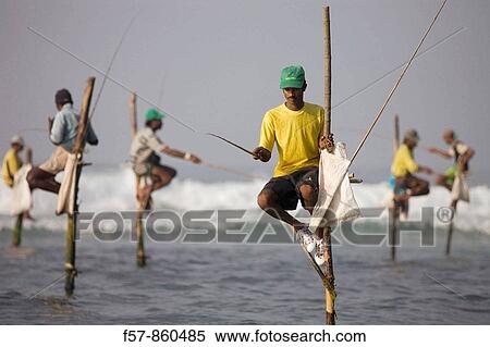 Stilt Fishermen in Koggala, Sri Lanka View Large Photo Image Stock Photography - Stilt Fishermen in Koggala, Sri Lanka. Fotosearch