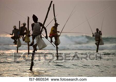 Stilt fishermen, Koggala, Sri Lanka View Large Photo Image Picture - Stilt fishermen, Koggala, Sri Lanka. Fotosearch