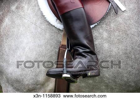 Stirrup View Large Photo Image Stock Image - Stirrup. Fotosearch
