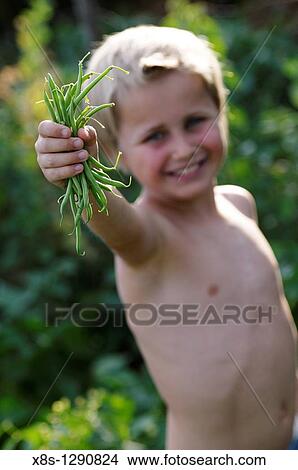 Stock photo of a 10 year old boy holding out a bunch of green beans he has just picked from the garden View Large Photo Image Picture - Stock photo of a 10 year old boy holding out a bunch of green beans he has just picked from the garden. Fotosearch