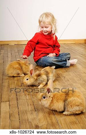 Stock photo of a four year old girl playing with her pet rabbits on a wooden floor View Large Photo Image Picture - Stock photo of a four year old girl playing with her pet rabbits on a wooden floor. Fotosearch