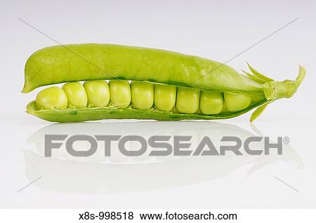 Stock photo of fresh green peas in their pods shot against a white background View Large Photo Image Stock Photo - Stock photo of fresh green peas in their pods shot against a white background. Fotosearch