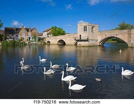 Stone arched bridge and River Ouse, St Ives, Cambridgeshire, England, UK View Large Photo Image Stock Photograph - Stone arched bridge and River Ouse, St Ives, Cambridgeshire, England, UK. Fotosearch