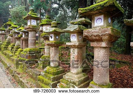 Stone lantern covere with moss at the Kasuga shrine View Large Photo Image Stock Image - Stone lantern covere with moss at the Kasuga shrine. Fotosearch