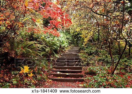 Stone stairs are a pathway through trees laden with fall leaves View Large Photo Image Stock Photo - Stone stairs are a pathway through trees laden with fall leaves. Fotosearch