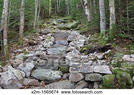 Stone steps along the Mt Tecumseh Trail in the White Mountains, New Hampshire USA View Large Photo Image Picture - Stone steps along the Mt Tecumseh Trail in the White Mountains, New Hampshire USA. Fotosearch