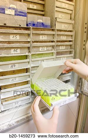 Stock Image - Stored samples in refrigerator at -80? C, DNA and RNA biobank, extraction and storage of DNA/RNA from blood samples, Biodonostia Health and Biomedicine Research Institute, San Sebastian, Donostia, Gipuzkoa, Euskadi, Spain. Fotosearch