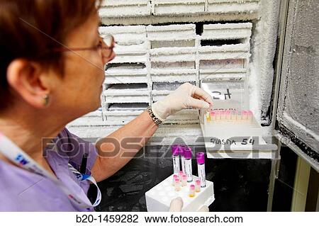 Stored samples in refrigerator at -80? C, DNA and RNA biobank, extraction and storage of DNA/RNA from blood samples, Biodonostia Health and Biomedicine Research Institute, San Sebastian, Donostia, Gipuzkoa, Euskadi, Spain View Large Photo Image Stock Image - Stored samples in refrigerator at -80? C, DNA and RNA biobank, extraction and storage of DNA/RNA from blood samples, Biodonostia Health and Biomedicine Research Institute, San Sebastian, Donostia, Gipuzkoa, Euskadi, Spain. Fotosearch