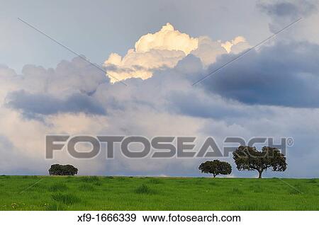 Storm clouds Alentejo Portugal View Large Photo Image Stock Photo - Storm clouds Alentejo Portugal. Fotosearch