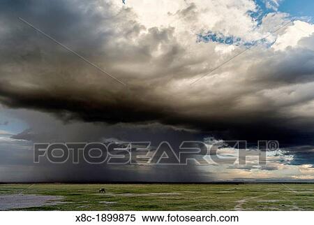 Storm over Amboseli National Park in Kenya The storms are forming over the nearby slopes of Mount Kilimanjaro Africa, East Africa, Kenya, Rfit Valley Province, Amboseli, December View Large Photo Image Stock Photography - Storm over Amboseli National Park in Kenya The storms are forming over the nearby slopes of Mount Kilimanjaro Africa, East Africa, Kenya, Rfit Valley Province, Amboseli, December. Fotosearch