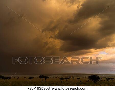 Stock Image - Storm over the Maasai Mara. Africa, East Africa, Kenya, Maasai Mara, December. Fotosearch