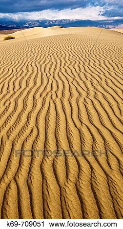 Stovepipe Wells Sand Dunes. Death Valley National Park. California. USA View Large Photo Image Stock Image - Stovepipe Wells Sand Dunes. Death Valley National Park. California. USA. Fotosearch
